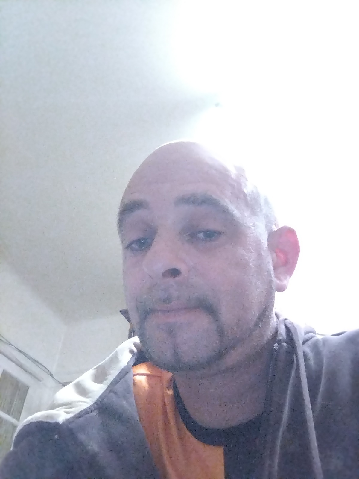 Profil de Orlann