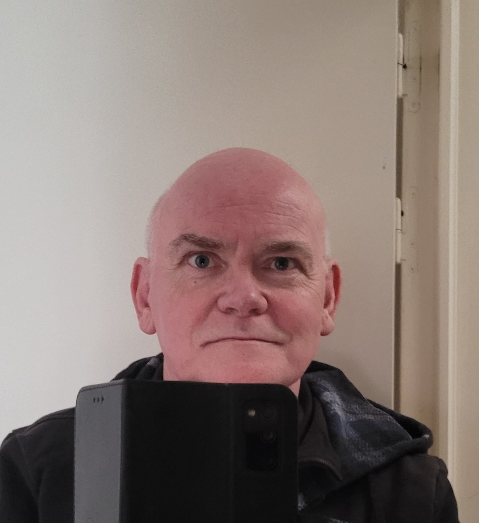 Profil de Junot